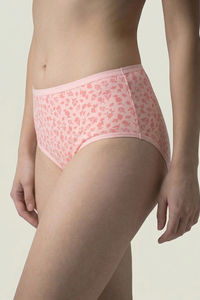 Zivame Medium Rise Full Coverage Hipster Panty (Pack of 3) - Multicolor — thumbnail 11